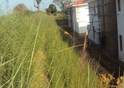 Kilifi-Soil Stabilization After